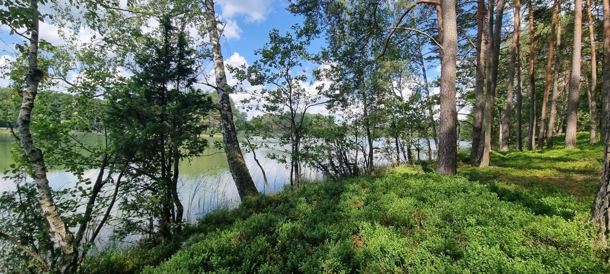 Osrodek Wypoczynkowy Soszko Villa Swornegacie Exteriör bild