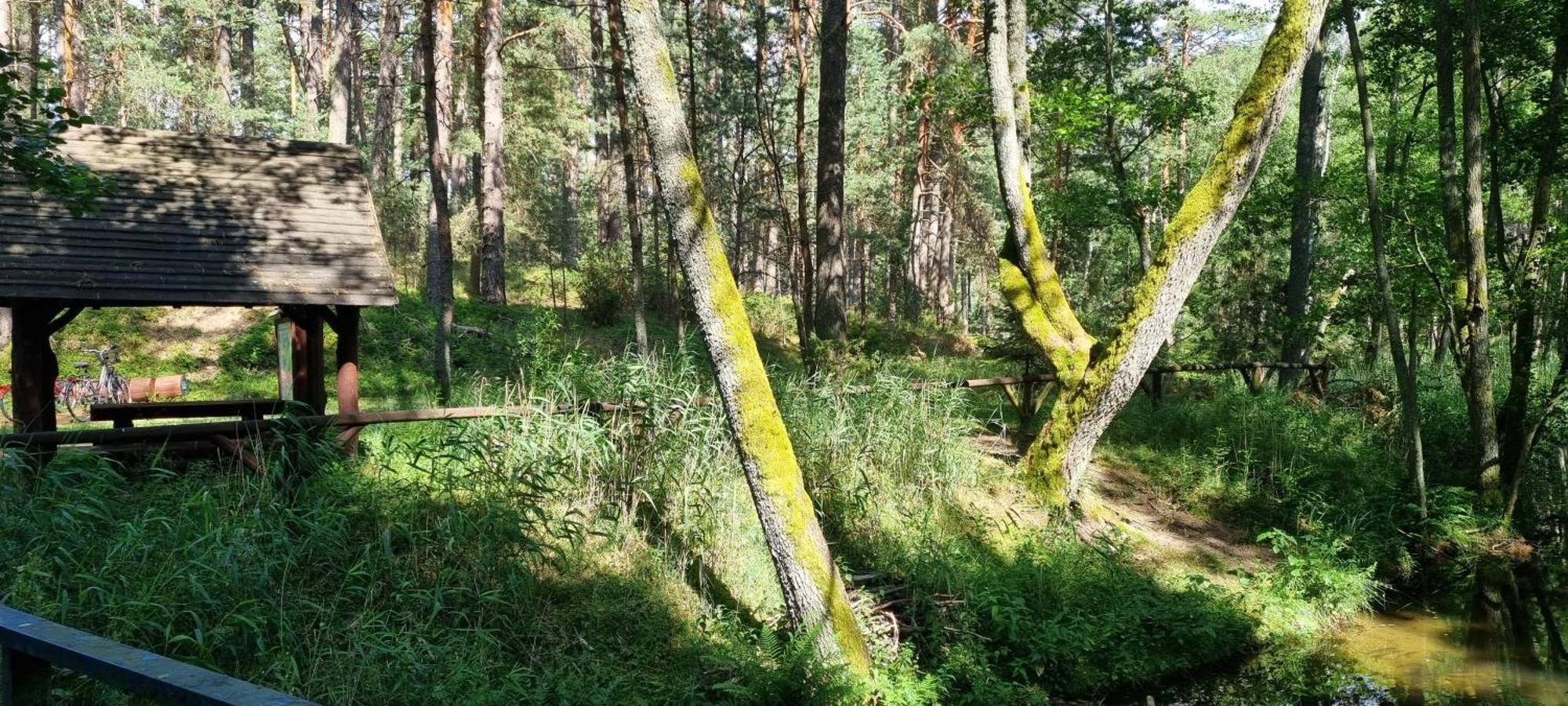 Osrodek Wypoczynkowy Soszko Villa Swornegacie Exteriör bild
